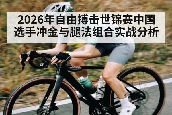 2026年自由搏击世锦赛中国选手冲金与腿法组合实战分析